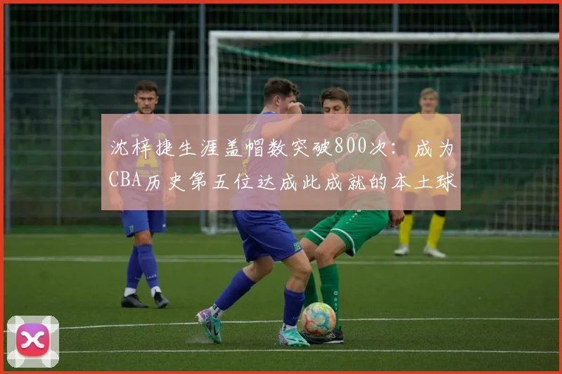 沈梓捷生涯盖帽数突破800次:成为CBA历史第五位达成此成就的本土球员